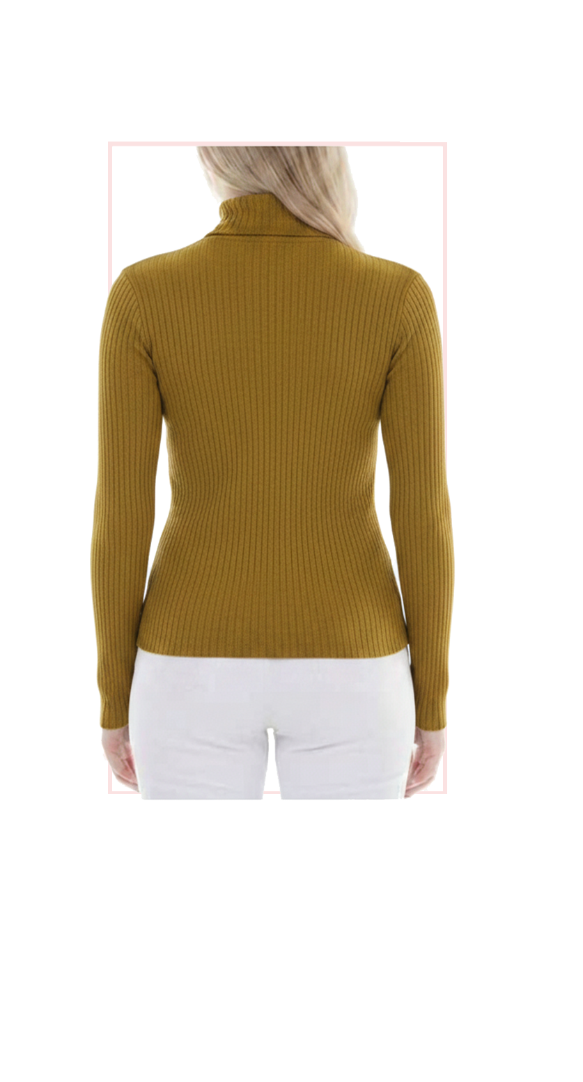 T2126:  Long-Sleeve Turtleneck Top - ONE SIZE (OSFM)